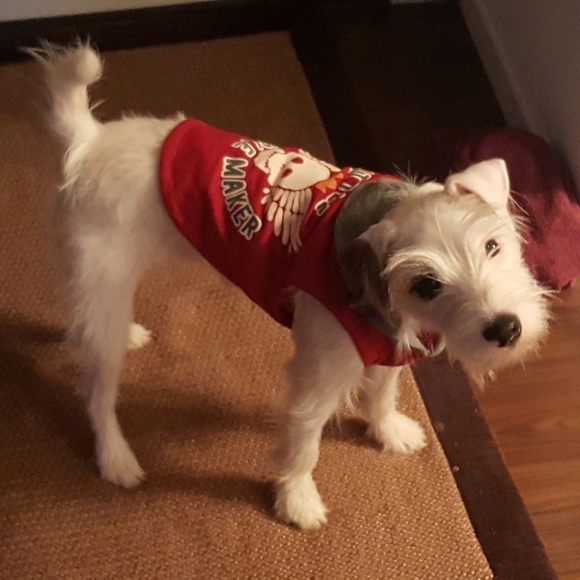 Meet your Posher, Christine - Picture 1 of 1